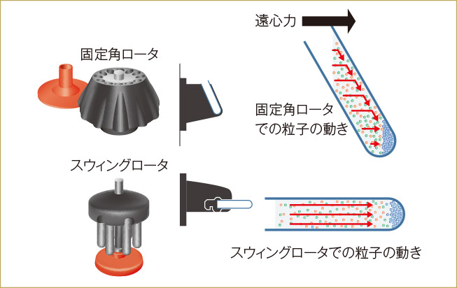 スクロース クッション 法