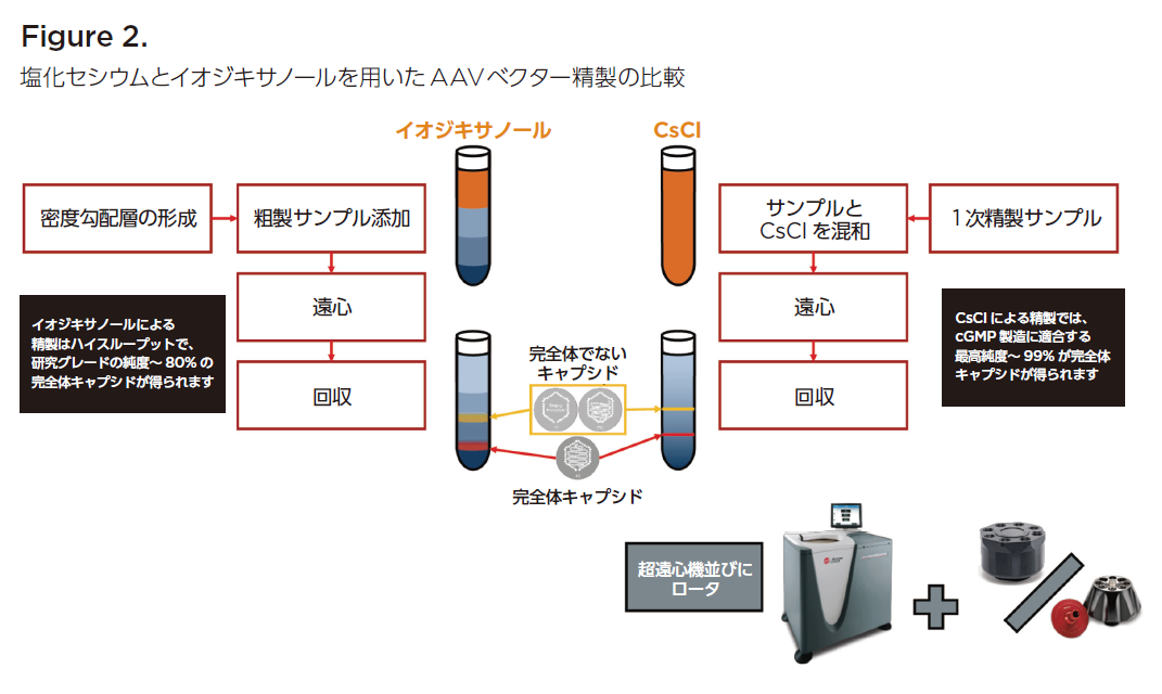 『2年保証』 ウイルスベクターにおける精製・品質管理の課題への取り組み 生物学