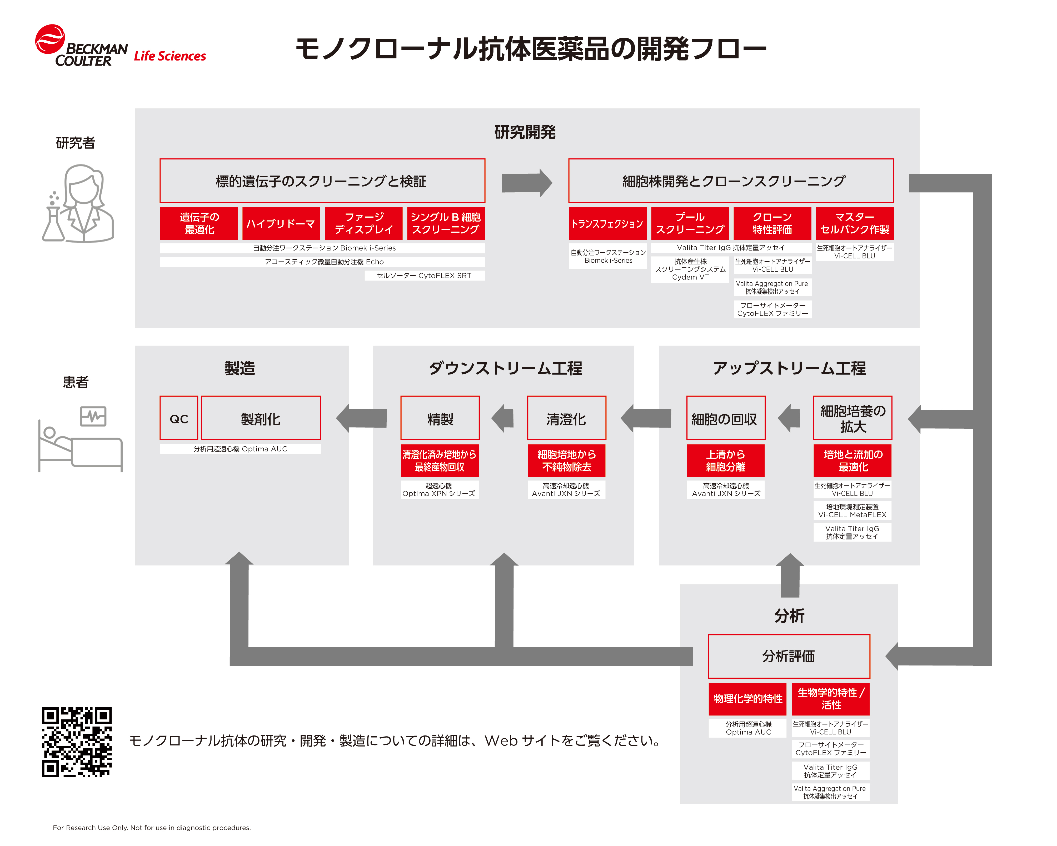 モノクローナル抗体医薬品開発ワークフロー