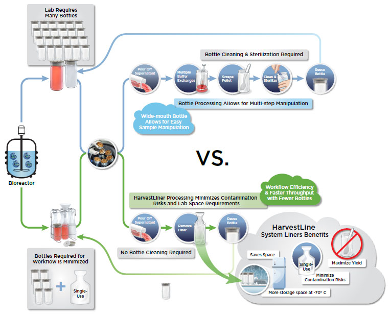 The journey of the Avanti 1-liter bottle