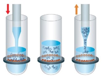 SPRI Bead Workflow—Step 3: Elution