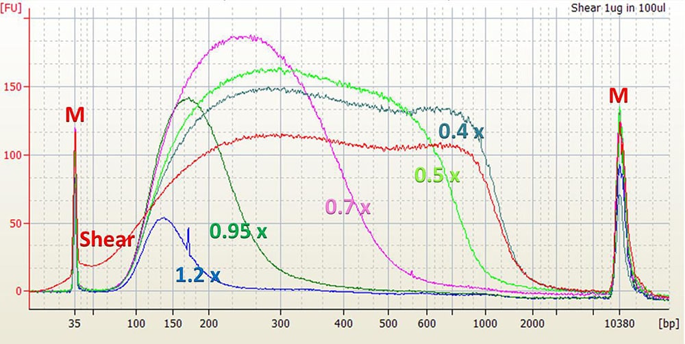 SPRIselect Beads—Right Side DNA Size Selection Chart