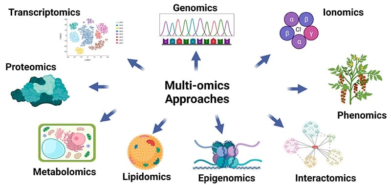 Multi-omics approaches
