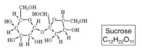 sucrose molecules contain 12 carbon atoms