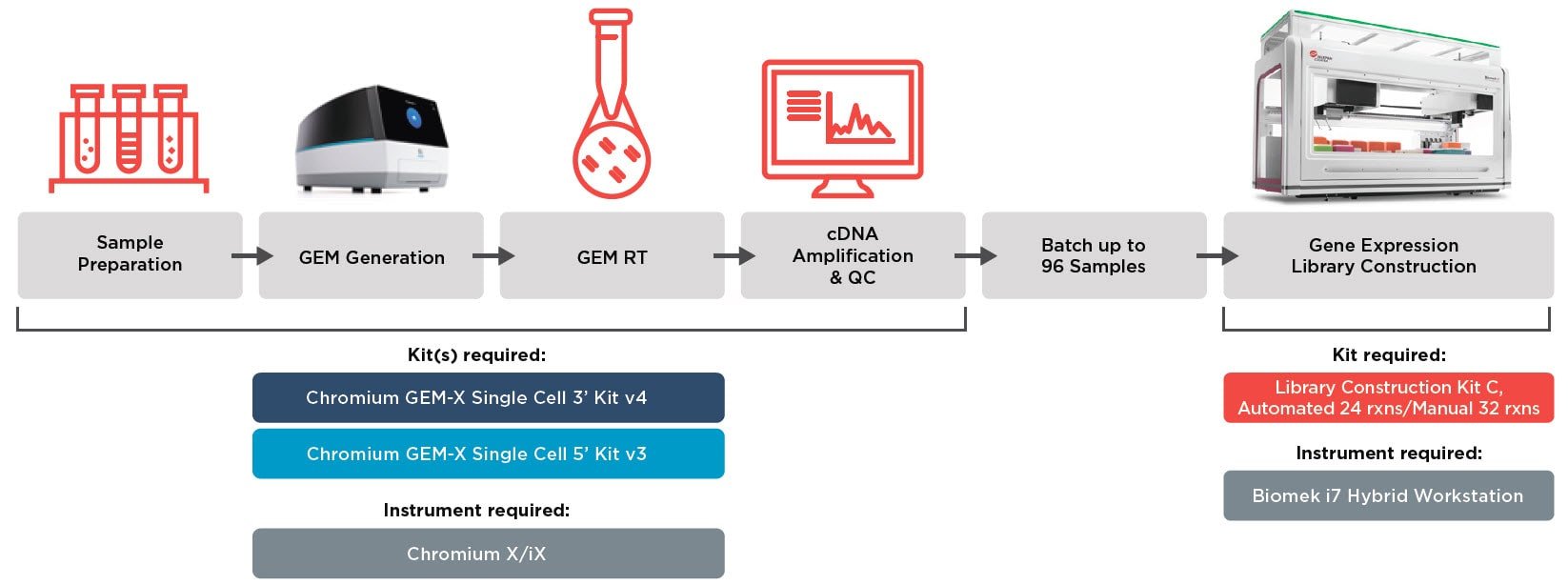 hromium GEM-X Single Cell Workflow Automated on Biomek i7 Hybrid Workstation