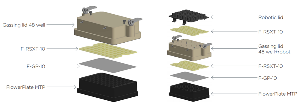 Assembly of microtiter plate foils and gassing head