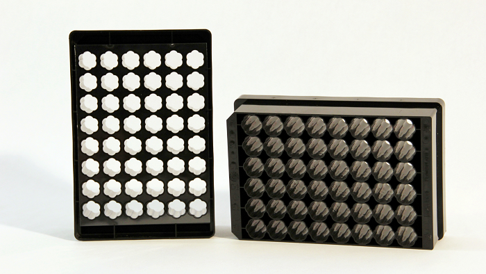 biolector xt flowerplate