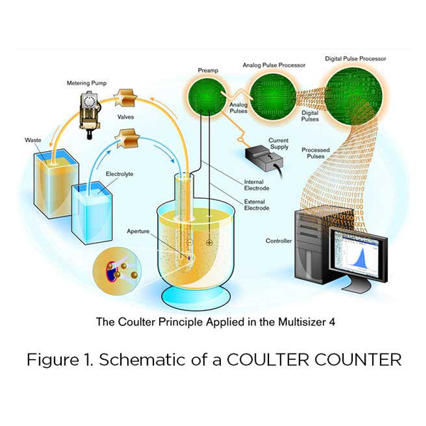 Schematic of a Coulter Counter
