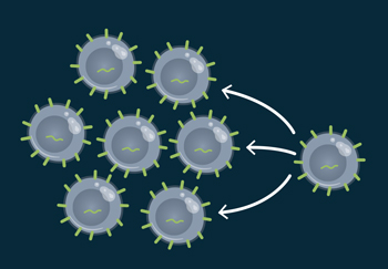 immunotherapy cell expansion