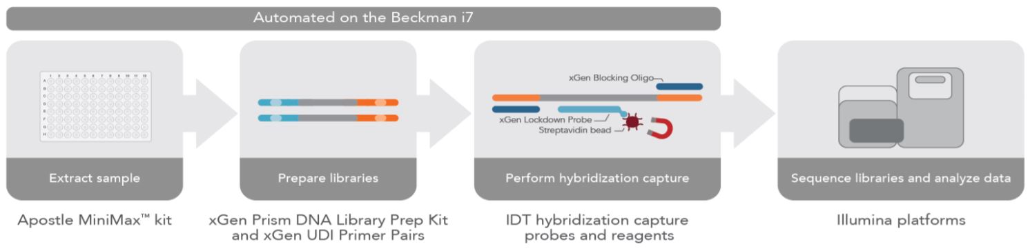 Figure 1: Complete NGS sample preparation workflow for cfDNA