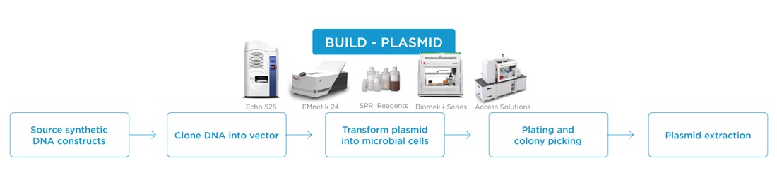 Build - Plasmid workflow step in synthetic biology workflow
