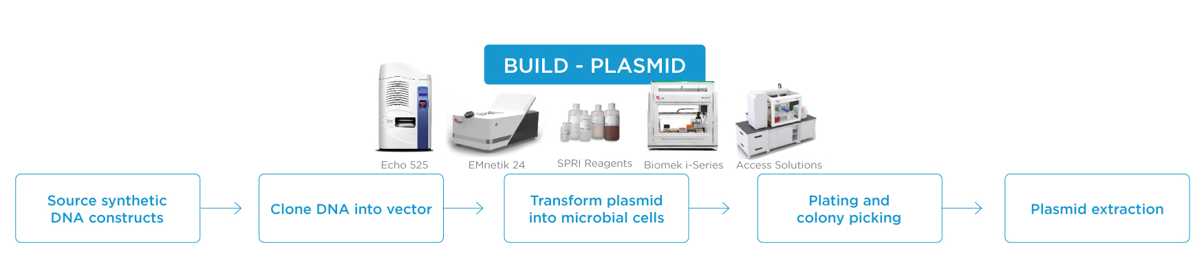 Build - Plasmid workflow step in synthetic biology workflow