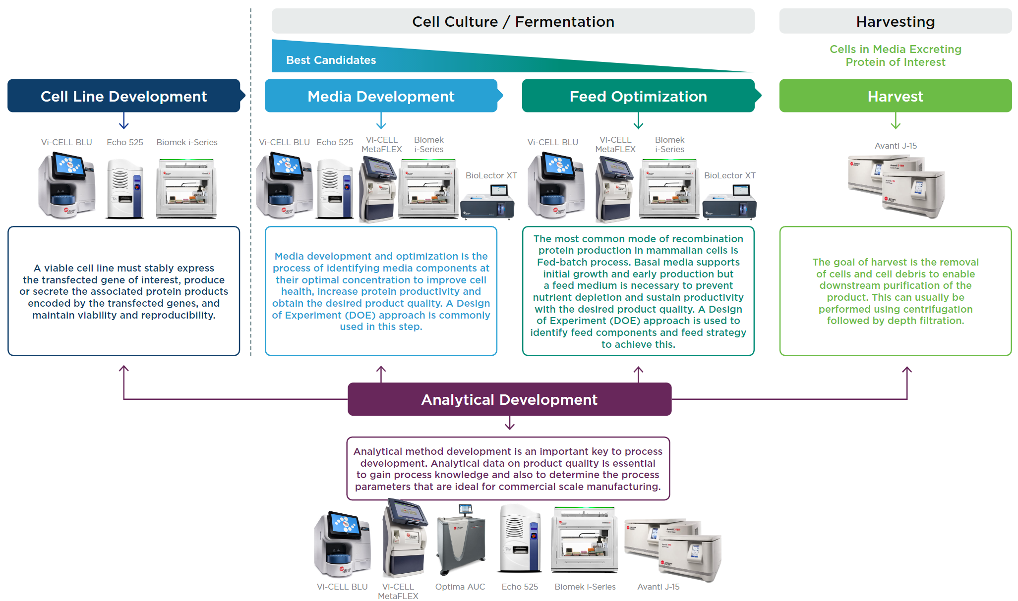 Process Development Workflow Overview Chart with Products