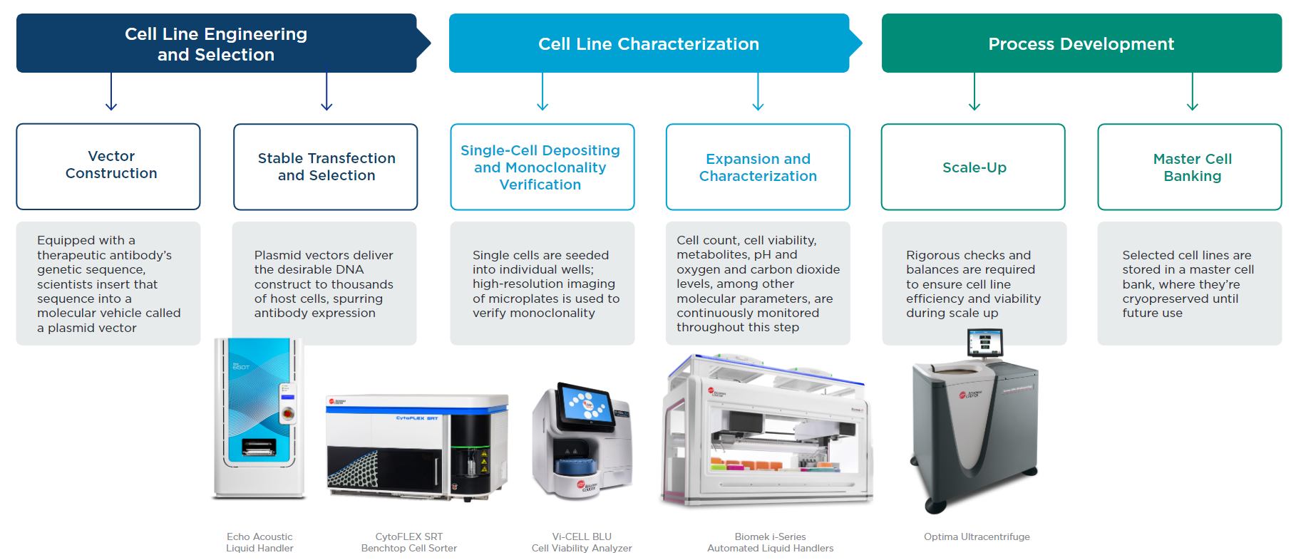 Cell Line Development