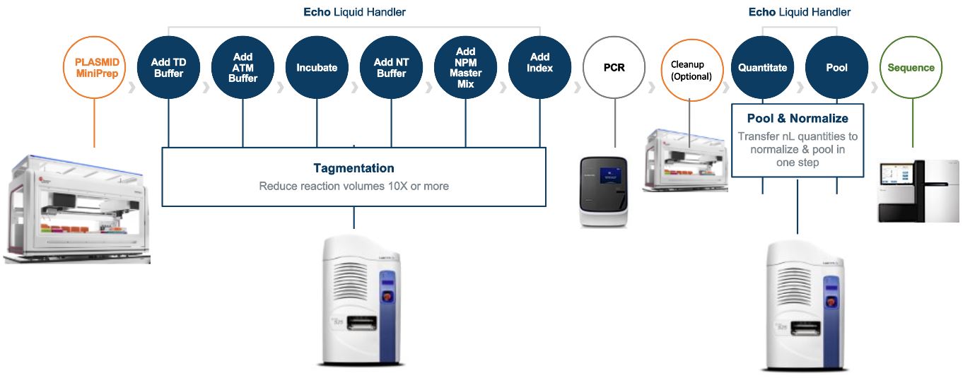 Sequencing Nextera XT NGS Library Prep