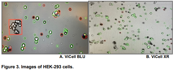 Figure 3 - Cell Line Development