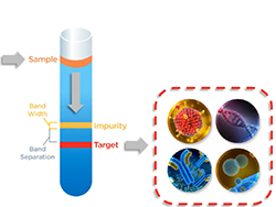 density gradient centrifugation tube