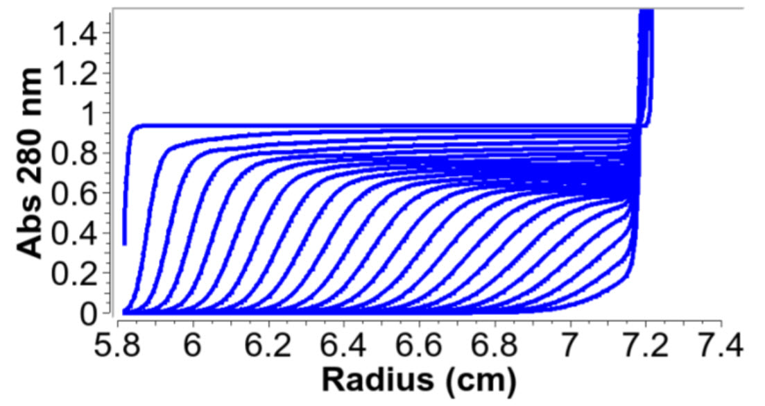 Sedimentation velocity AUC simulated experiment