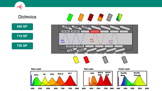 Flow Filter Selection Training