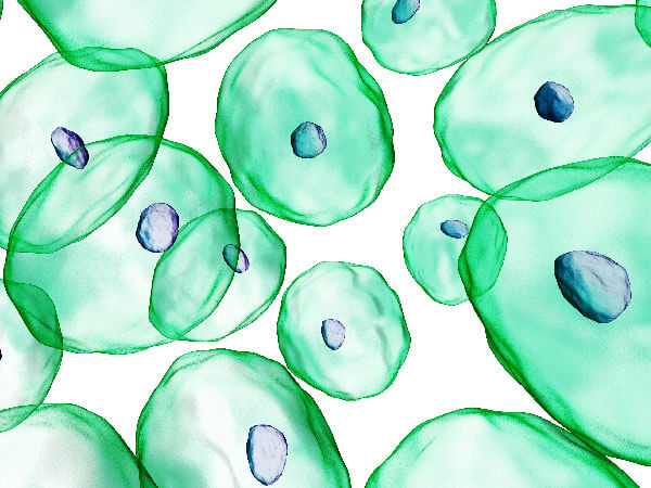 Human Cells Green Illustration