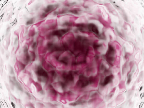 Стволовые клетки, регенеративная биология