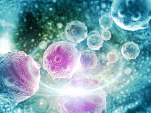 Biologics and cancer cells