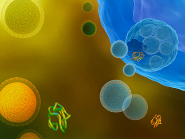 Exosomes Intracellular communication, cells communicating