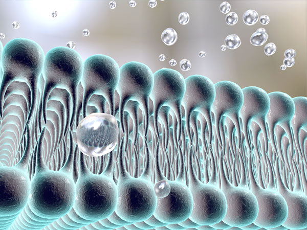 Exosome Research Illustration