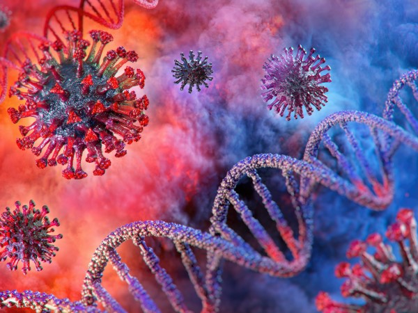 Viruses and DNA Coronavirus