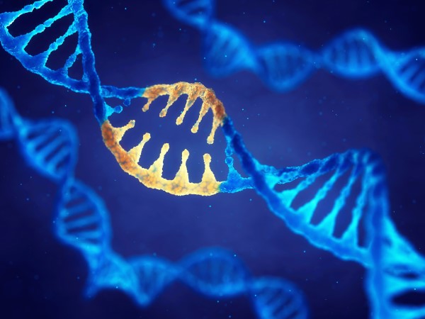 Mutated DNA Gene Editing