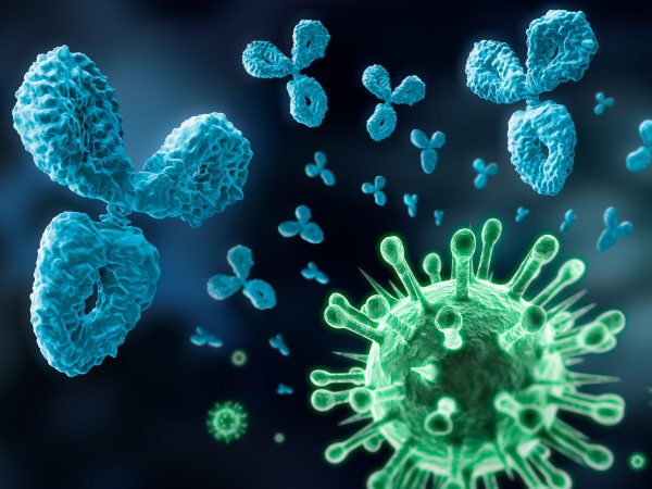 Antibody and Virus