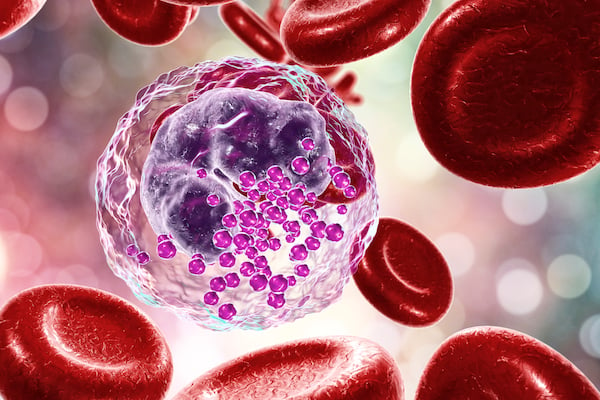 3D Illustration of a Basophil