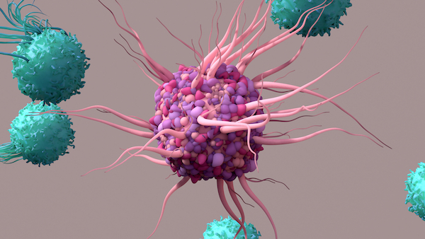 3D illustration of a dendritic cell