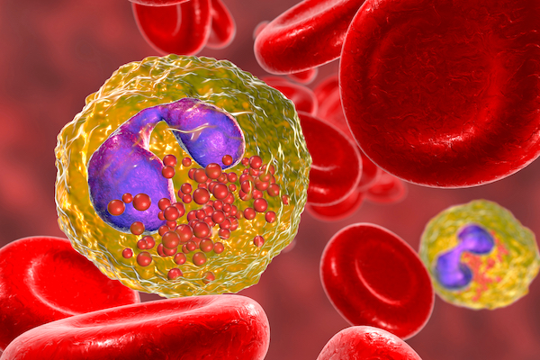 3D Illustration of Eosinophils