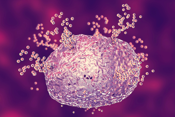 3D illustration of Mast cell releasing histamine during allergic response