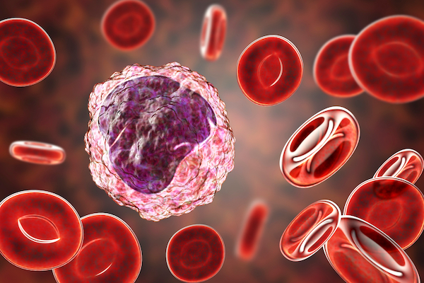 3D illustration of a monocyte and red blood cells