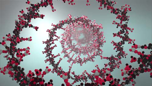 Image of Nucleic Acid