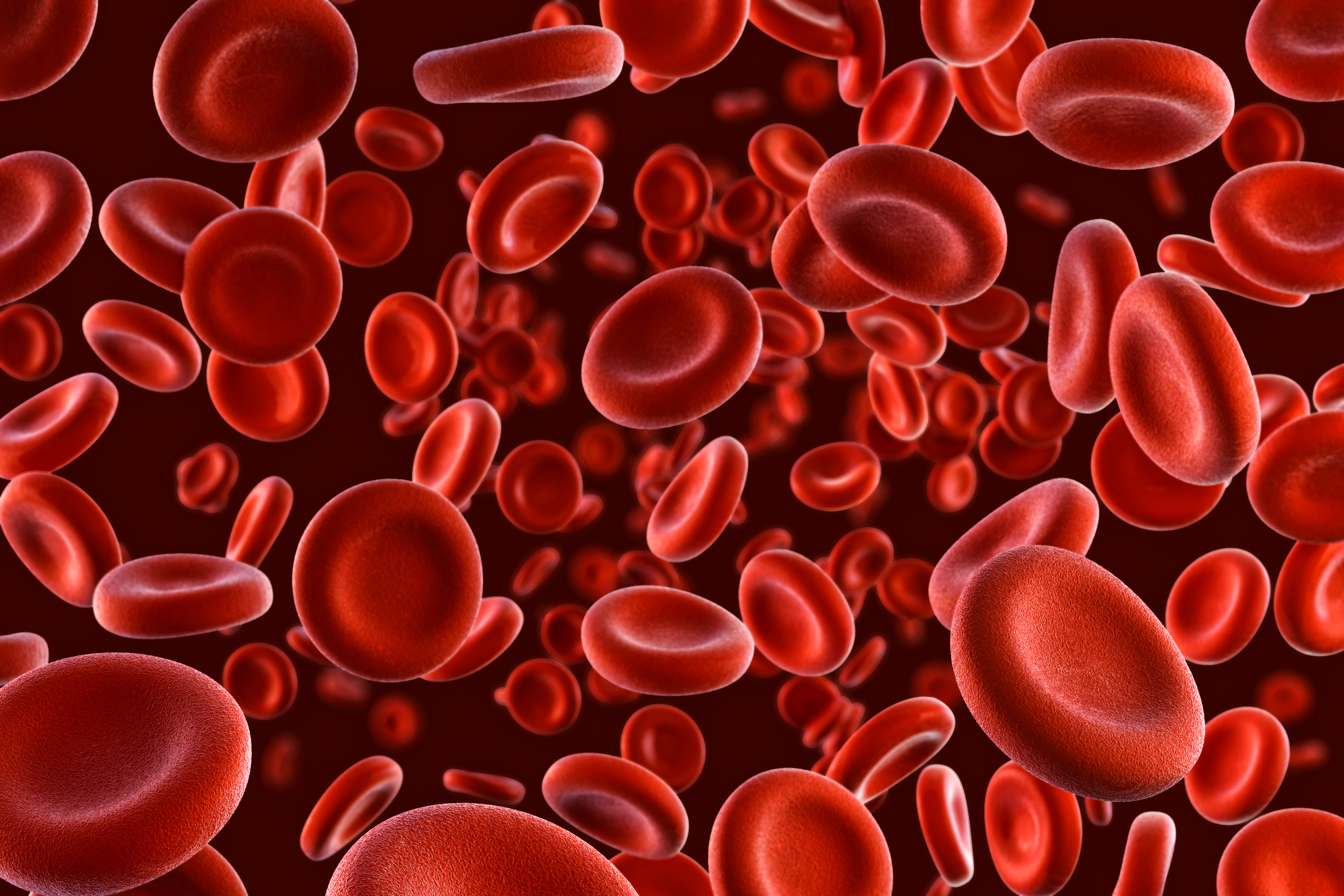 Red Blood Cells Red Blood Cells