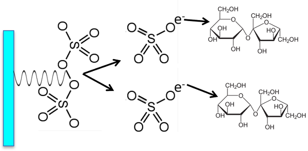 The UV reacts with the persulfate to form sulfate radicals which also oxidize organic compounds to CO2