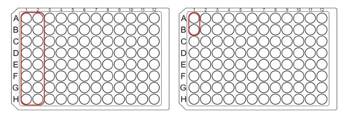 Automated Screening Platform for IgG Quantification