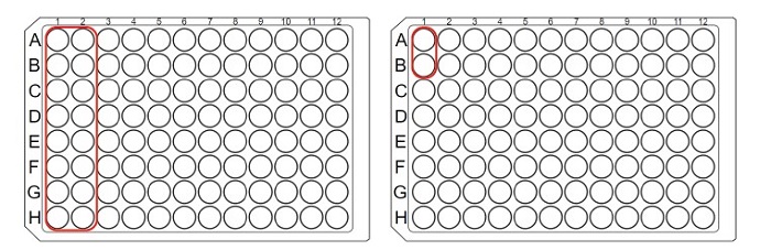 Automated Screening Platform for IgG Quantification