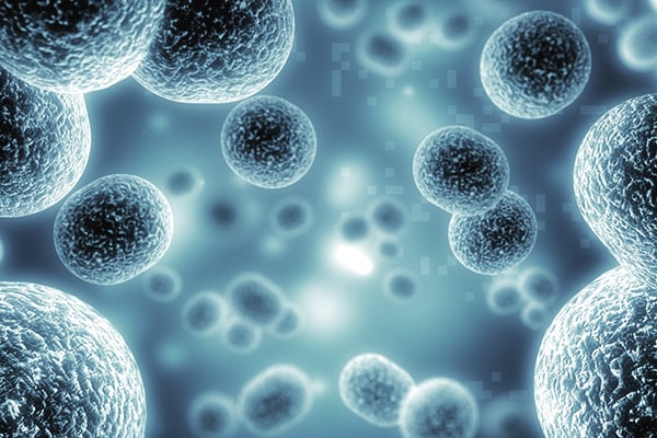 Simplifying Analysis with the Valita Titer Assay