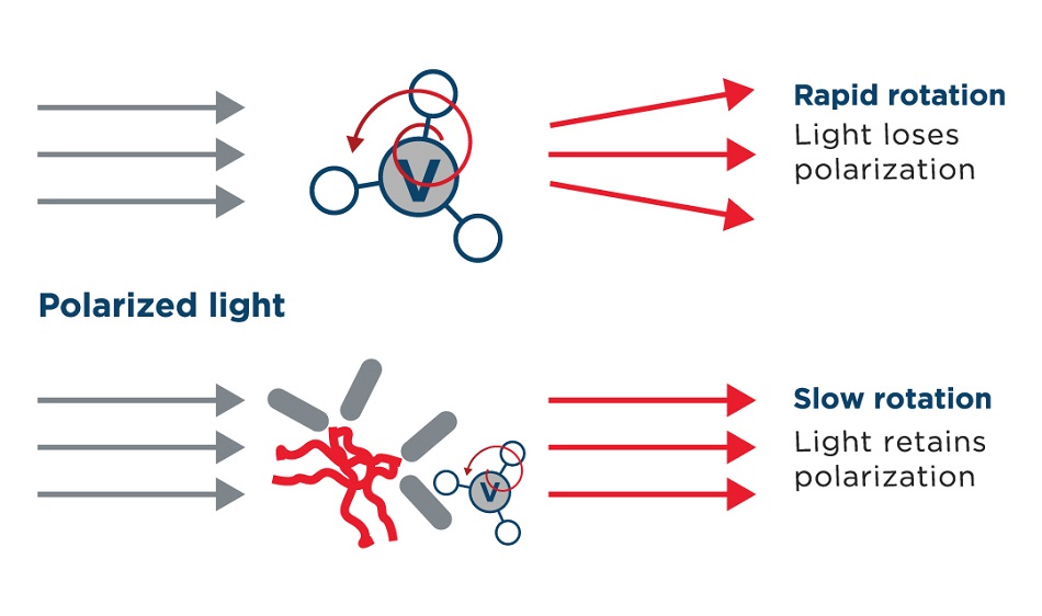 valita aggregation polarization principle